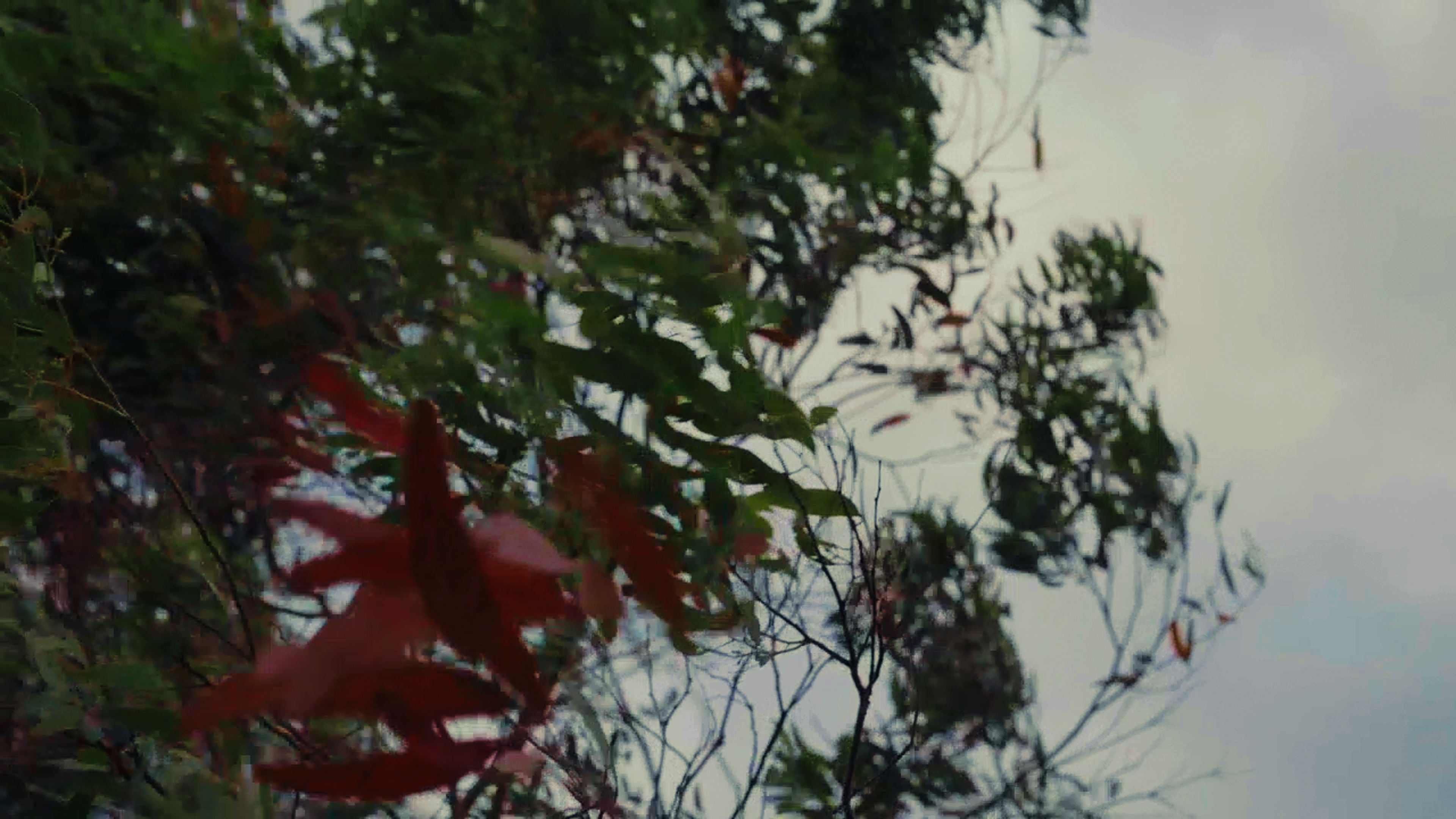 Imagen de portada del taller Poéticas Audiovisuales